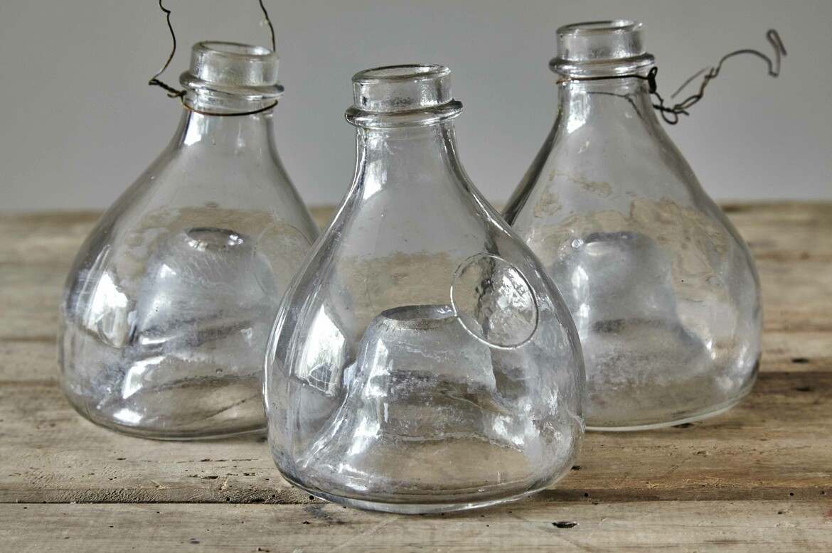 amisc652 amisc653 amisc654 wasp traps