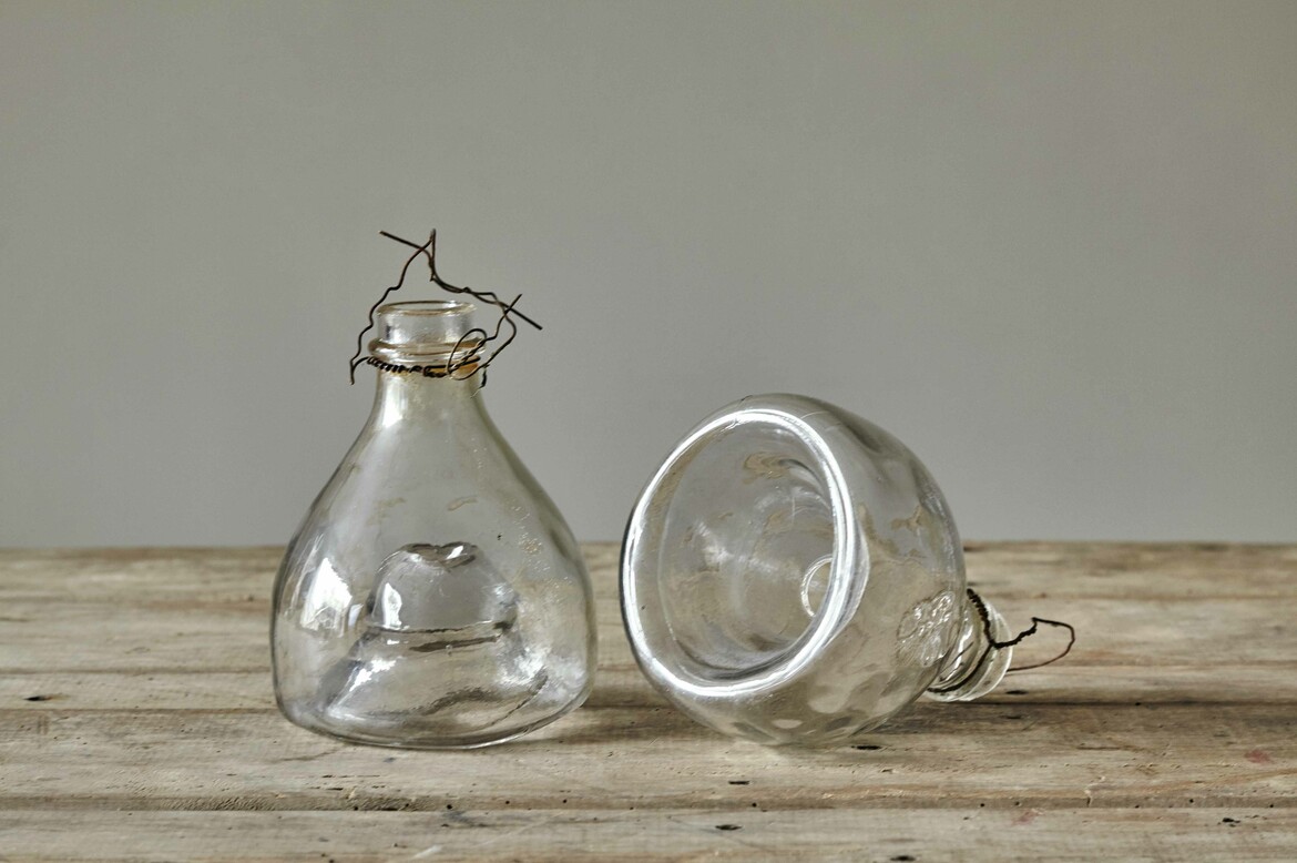 amisc652 amisc653 amisc654 wasp traps