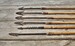 amisc969 east african quiver and arrows