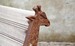 Max Rollitt antique giraffe garden bench